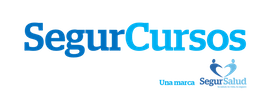 Segurcursos